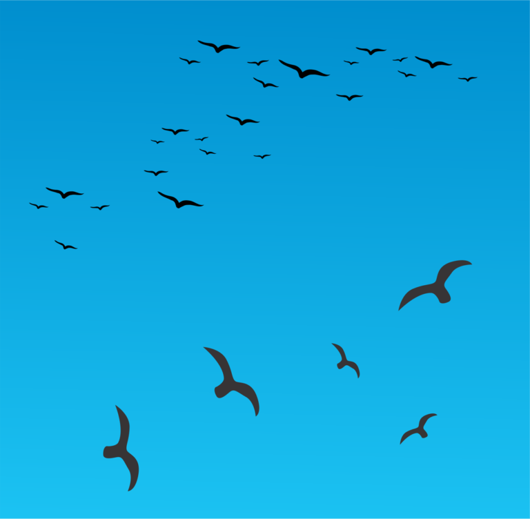Birds Flying Vector Free - Vector Design - Cdr, Ai, EPS, PNG, SVG
