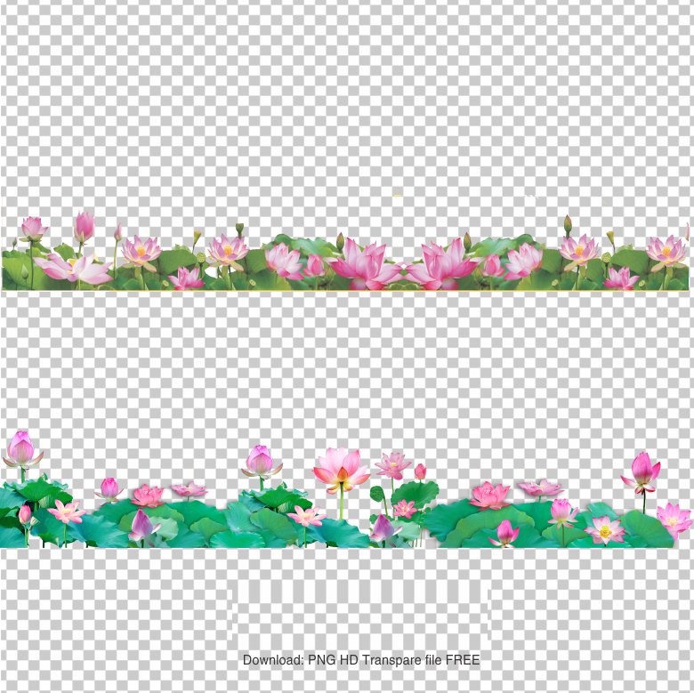Lotus-Flower-PNG-Bottom-Border-Transparent
